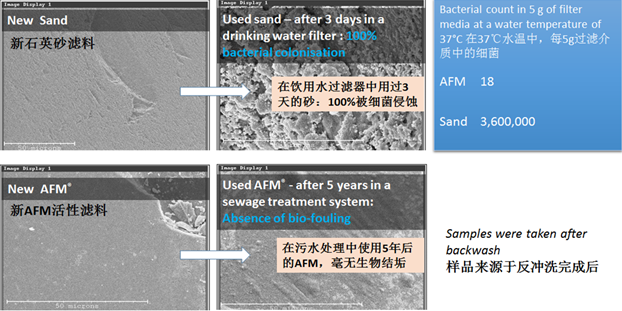 AFM活性濾料與石英砂濾料對(duì)比